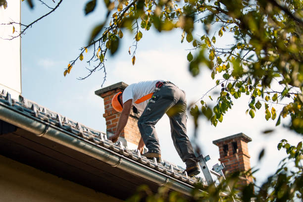 Best Affordable Roofing Company  in Brown City, MI