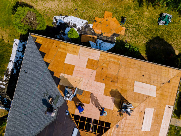 Best Roof Repair Specialists  in Brown City, MI