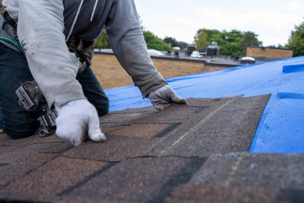 Best Residential Roof Replacement  in Brown City, MI