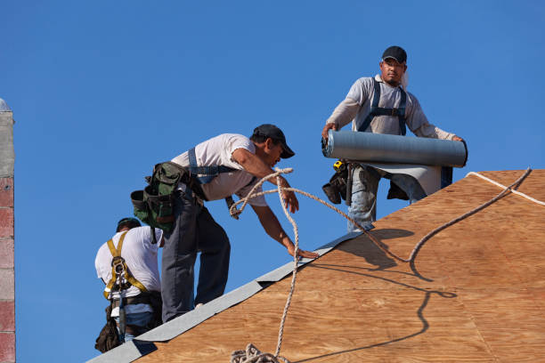Best Roofing Contractor Near Me  in Brown City, MI