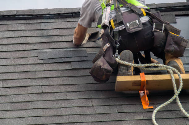 Residential Roof Replacement in Brown City, MI