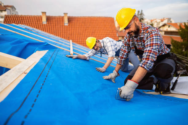 Best Roofing Contractors for Homes  in Brown City, MI