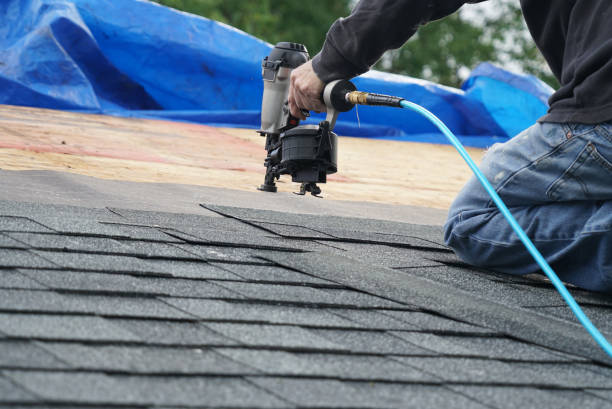 Best Roof Maintenance Services  in Brown City, MI