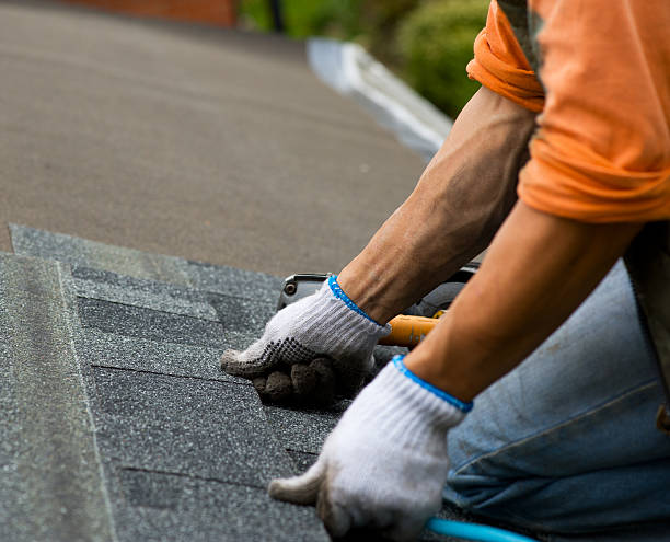 Best Tile Roofing Contractor  in Brown City, MI