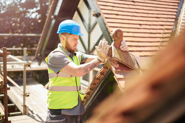 Best Roof Leak Repair  in Brown City, MI