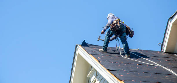 Best Commercial Roofing Services  in Brown City, MI